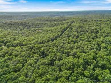 Lake of the Ozarks Acreage For Sale in Roach Missouri