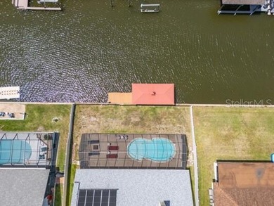 Wake up to dolphins swimming past your private dock. This - photo 29
