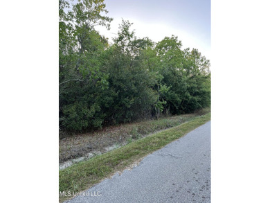 Near the beach in Waveland, MS. This lot offers a beautiful - photo 2