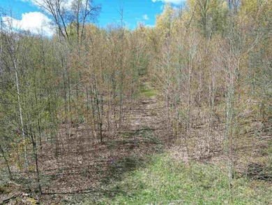 Just seven minutes from both downtown Boyne City and Boyne - photo 10