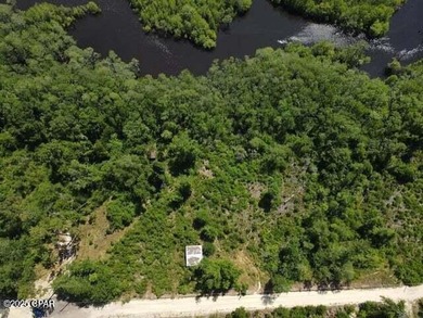 Dead Lake Acreage For Sale in Wewahitchka Florida