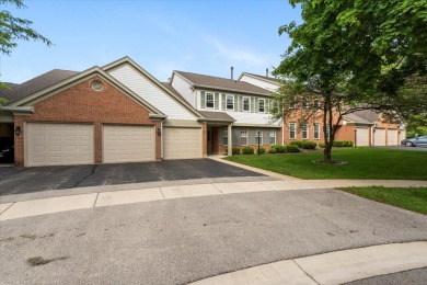 Lake Home Sale Pending in Schaumburg, Illinois