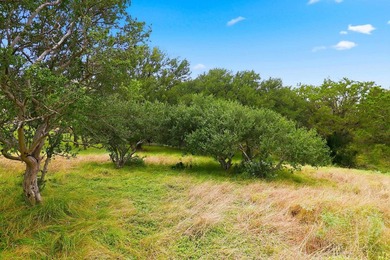 Discover the ultimate Texas Hill Country lifestyle with this - photo 9