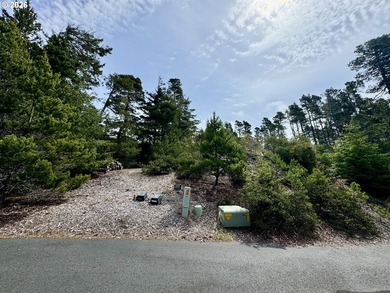 Tucked away on a private road in desirable Heceta South, this 0 - photo 1