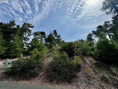 Tucked away on a private road in desirable Heceta South, this 0 - photo 3
