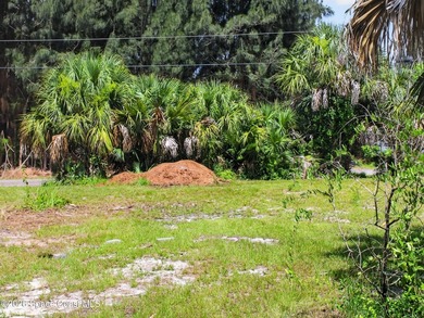 Prime building opportunity in the rapidly growing Southwest - photo 3