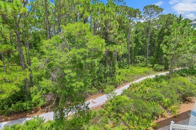 Located in the highly sought-after community of Seacrest Beach - photo 18
