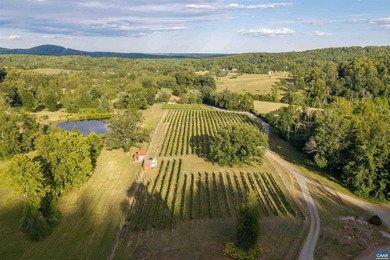 In the heart of the Monticello Wine Trail in Southern Albemarle - photo 3