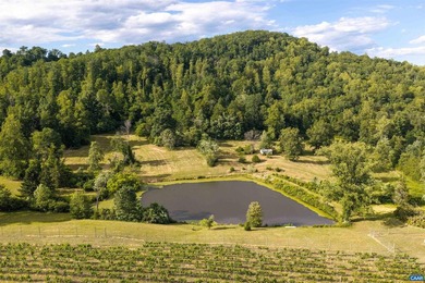 In the heart of the Monticello Wine Trail in Southern Albemarle - photo 4