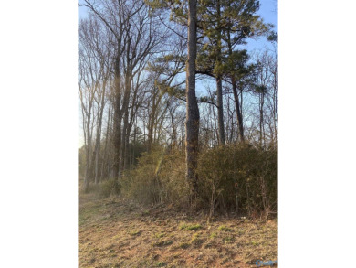 Lake Lot For Sale in Guntersville, Alabama