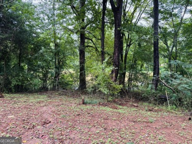 Lake Lot For Sale in Jackson, Georgia