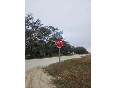 Lake Chilton Lot For Sale in Avon Park Florida