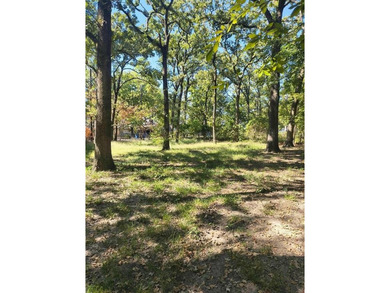 Cedar Creek Lake Lot For Sale in Gun Barrel City Texas