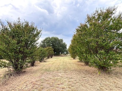 Lake Granbury Lot For Sale in Granbury Texas