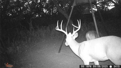 (private lake, pond, creek) Acreage For Sale in Early Texas