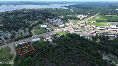 Ross Barnett Reservoir Commercial For Sale in Brandon Mississippi