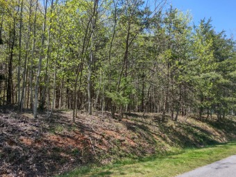 Lake Lot Off Market in Glade Hill, Virginia