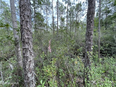 Don't miss this spacious .75-acre homesite located in the - photo 14