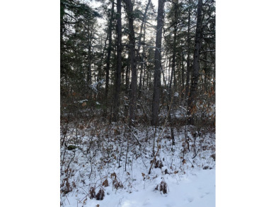 Lake Lot Off Market in Waterboro, Maine