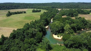 Lake Lot For Sale in Savannah, Tennessee