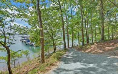 Charming Tiny Home on Lake Hartwell - - photo 26