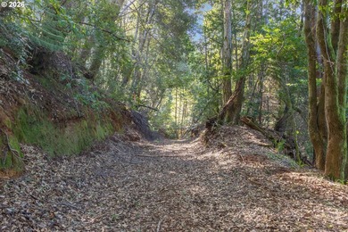Expansive views of the Ocean with a Scenic and private location - photo 14