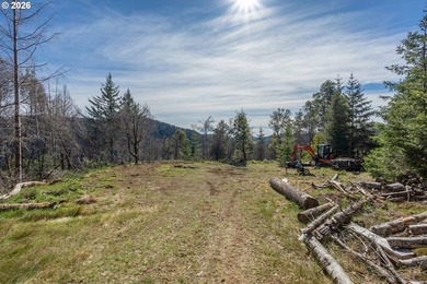 Expansive views of the Ocean with a Scenic and private location - photo 15
