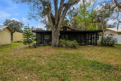 Lake Home For Sale in Floral City, Florida