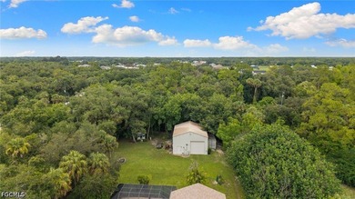 This home is in a BEAUTIFUL SETTING. It's tucked back into a - photo 43
