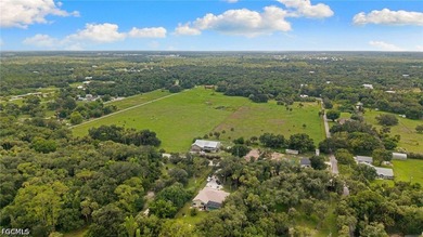 This home is in a BEAUTIFUL SETTING. It's tucked back into a - photo 47