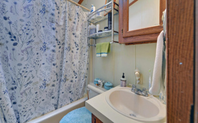 Charming Tiny Home on Lake Hartwell - - photo 20
