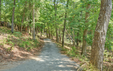 Charming Tiny Home on Lake Hartwell - - photo 25