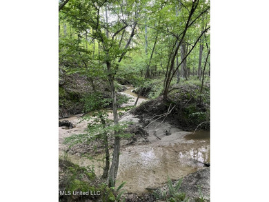 (private lake, pond, creek) Acreage For Sale in Brandon Mississippi