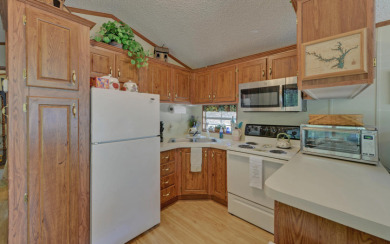 Charming Tiny Home on Lake Hartwell - - photo 15