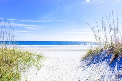 Beautiful 1br 1ba with an amazing view all the way down the