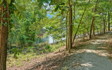 Charming Tiny Home on Lake Hartwell - - photo 24