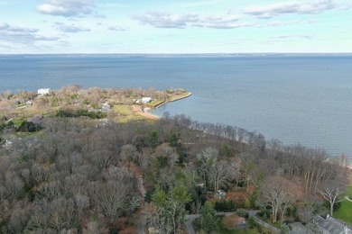 Rare and Remarkable Waterfront Offering on Centre Island An - photo 11