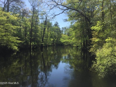 (private lake, pond, creek) Acreage For Sale in Pender County North Carolina