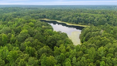 (private lake, pond, creek) Acreage For Sale in Poplarville Mississippi
