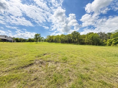 âœ¨ Build Your Dream on Richland Chambers Lake! - photo 4