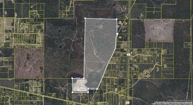 364 acres in great location of North Wakulla County. Paved road - photo 2