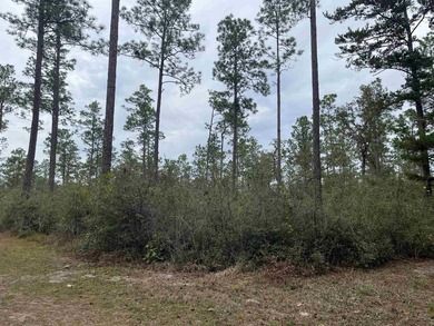 364 acres in great location of North Wakulla County. Paved road - photo 3