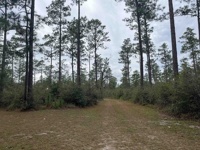 364 acres in great location of North Wakulla County. Paved road - photo 4
