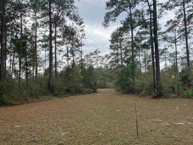 364 acres in great location of North Wakulla County. Paved road - photo 5