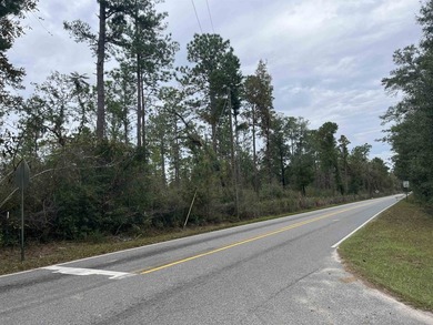364 acres in great location of North Wakulla County. Paved road - photo 6