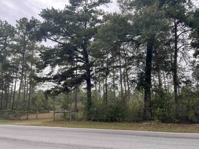 364 acres in great location of North Wakulla County. Paved road - photo 7