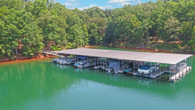 Charming Tiny Home on Lake Hartwell - - photo 28