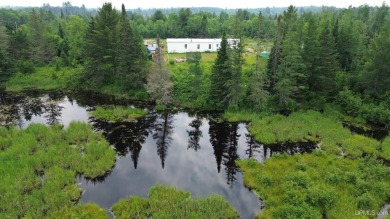 Lake Home For Sale in Republic, Michigan