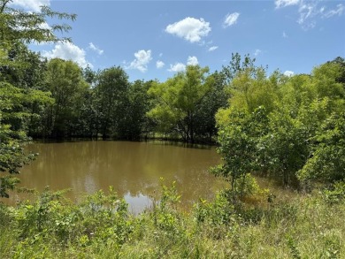 Cooper Lake Acreage For Sale in Cooper Texas