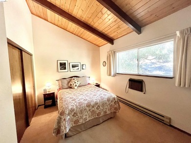 This Yosemite area home in the pines called 'Lil Oak Hill' is - photo 20